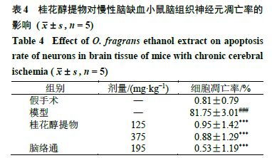 基于網(wǎng)絡藥理學與動物實驗探究桂花醇提物對慢性腦缺血神經(jīng)損傷的保護作用及機制